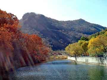 新澳天天开奖资料大全旅游团，天涯社区一路同行